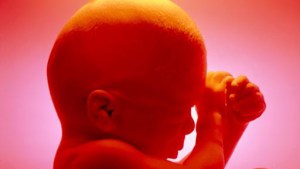 False: Irish Times Headline Misleads Public with ‘First Abortion’ Claim – it