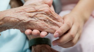 Young girl’s hand touches and holds an old woman’s wrinkled hands. – it