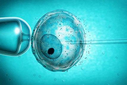 Vitrificazione degli ovuli, e interrogativi etici