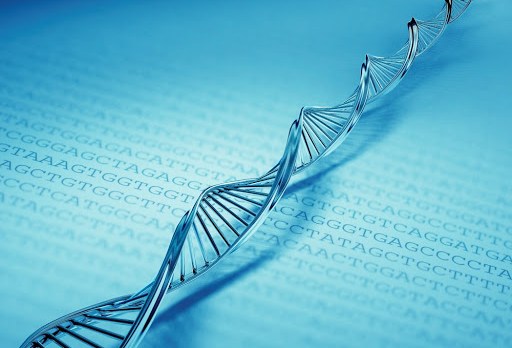 La genetica: un insieme di leggi infallibili che parlano del Creatore