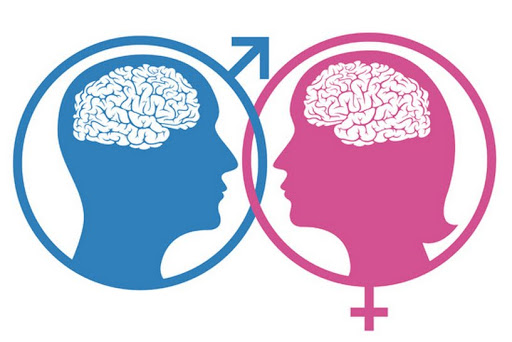 Gender cervello &#8211; it