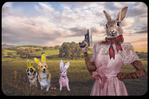WEB-Easter-Rabbit-Gun-Dog-Cat-David-Blackwell-CC &#8211; it