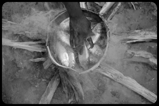 Mário Macilau, A Fish Story, fotografia dalla serie Growing on darkness Crescendo na escuridão, 2012-2015 &#8211; it