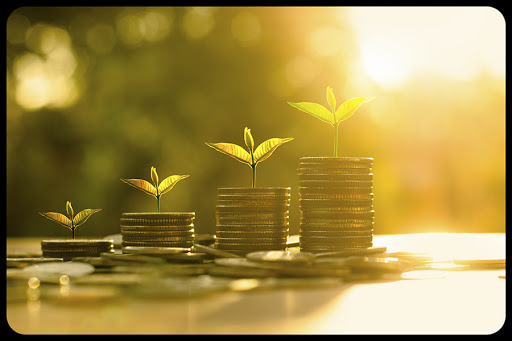 Money growing concept © Singkham / Shutterstock &#8211; it