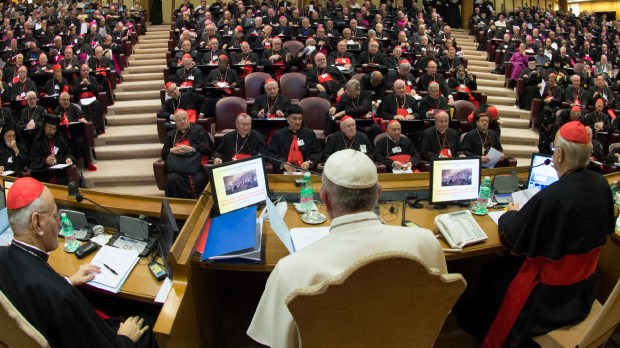 Pope Francis audience Synod &#8211; HERO