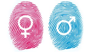 symbole gender – it