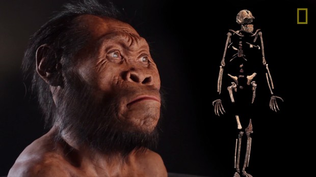 New Human Ancestor Discovered &#8211; Homo naledi-