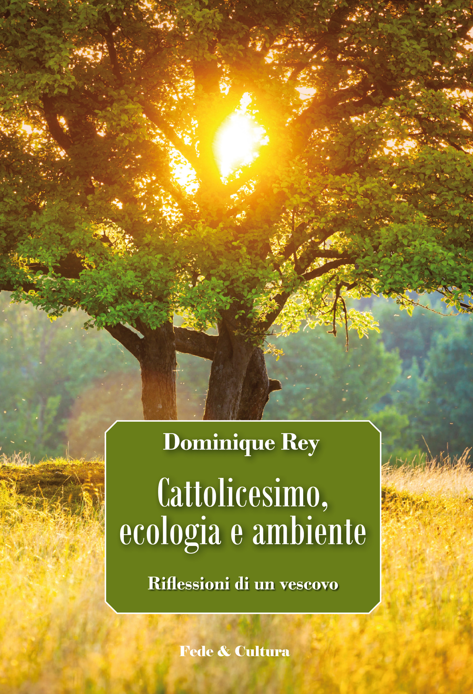 Cop Cattolicesimo ecologia e ambiente 2.indd