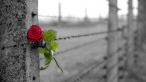 From Auschwitz II &#8211; Birkenau