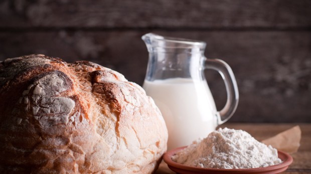 web-bread-milk-wood-background-food-vdex-shutterstock_384945316