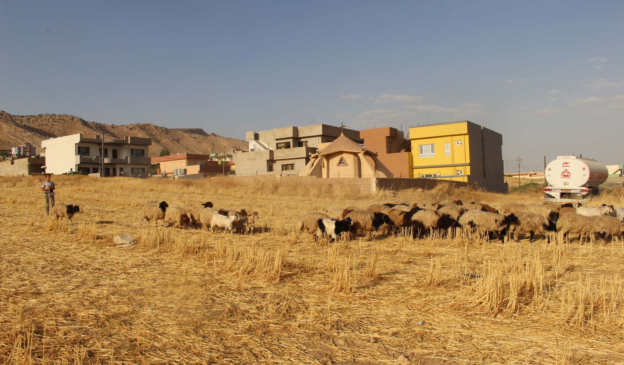 Interminabili campi di cereali davanti al santuario di Alqosh. © Sylvain Dorient 