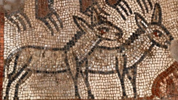 mosaico-arca-noe