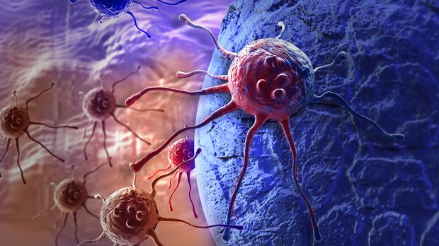 Cellule cancro in 3D