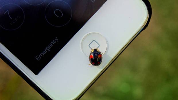 web-10-phone-internet-ladybug-technology-cc-pavlina-jane