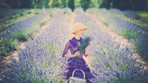 purple flower lady hat field lavander