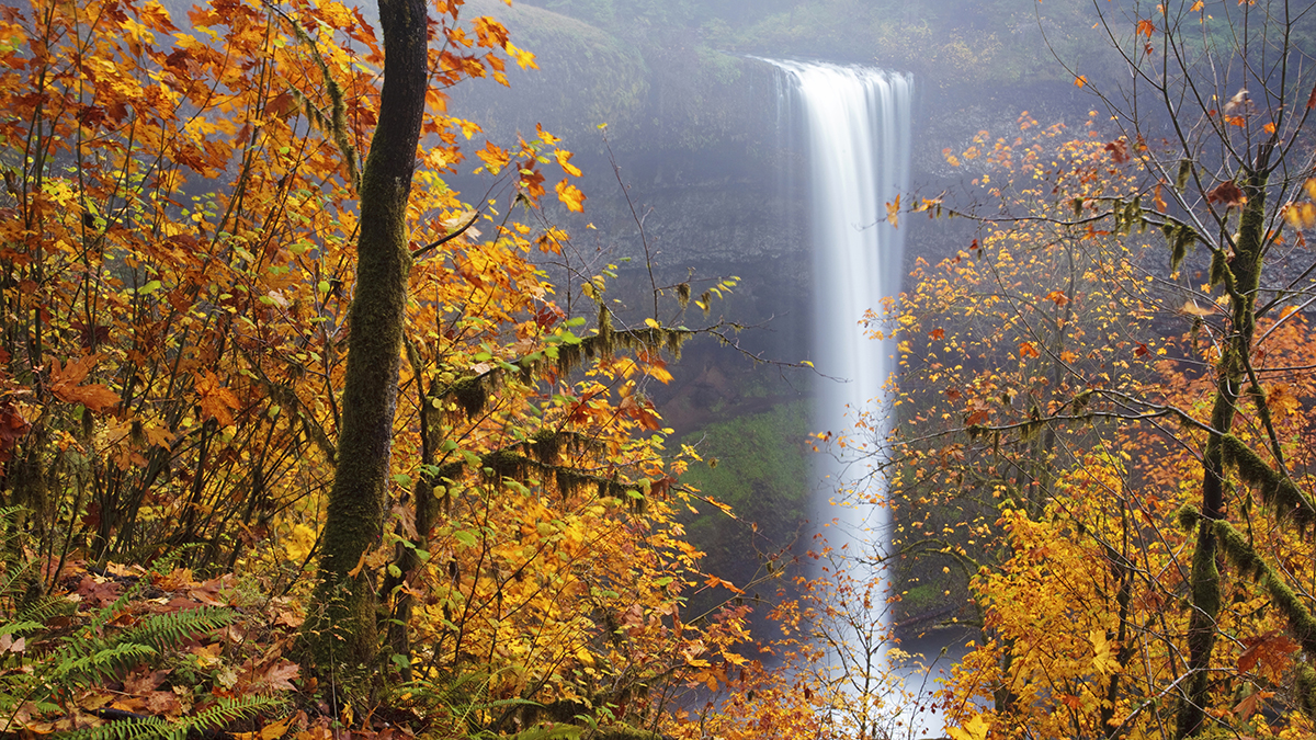 web-autumn-waterfall-leaves-forest-ian-sane-cc