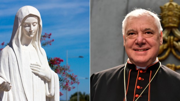 WEB-Cardinal-Gerhard-Ludwig-Muller-&amp;-The-statue-of-Virgin-Mary