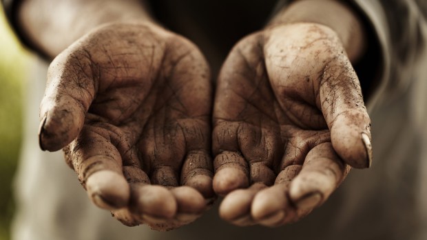 WEB HAND FARMER SOIL HUMILITY ©Soo Hee Kim:Shutterstock
