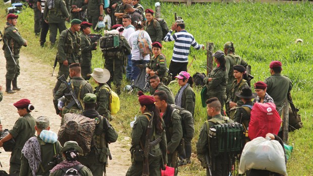 WEB3-COLOMBIA-WEAPONS-PEACE-FARC-170206_25_MovilizacionFarc-Nelson Cárdenas &#8211; SIG, Sistema Informativo del Gobierno