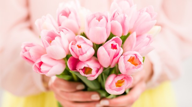 WEB3-PINK-BUNCH-FLOWERS-TULIPS-HOLDING-HANDS-WOMAN-Shutterstock