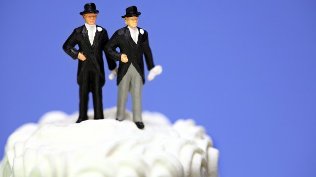 web gay marriage couple cake topper ©Amy Walters : Shutterstock