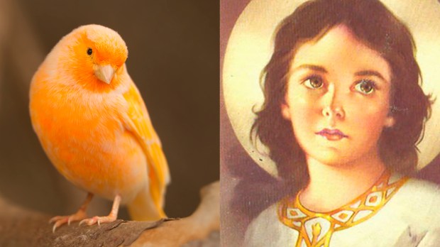 WEB3-Jesus Child &#8211; Orange Canary