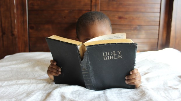 A little boy reading the Holy Bible