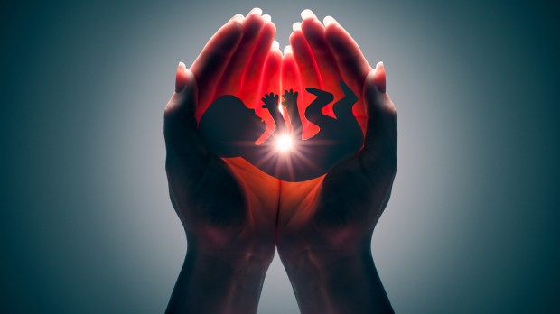 Embryo silhouette in woman hand
