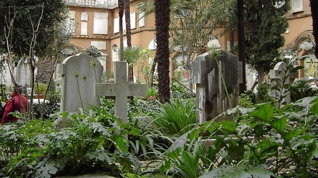 cimitero-teutonico-piante-e1575912708670.jpg