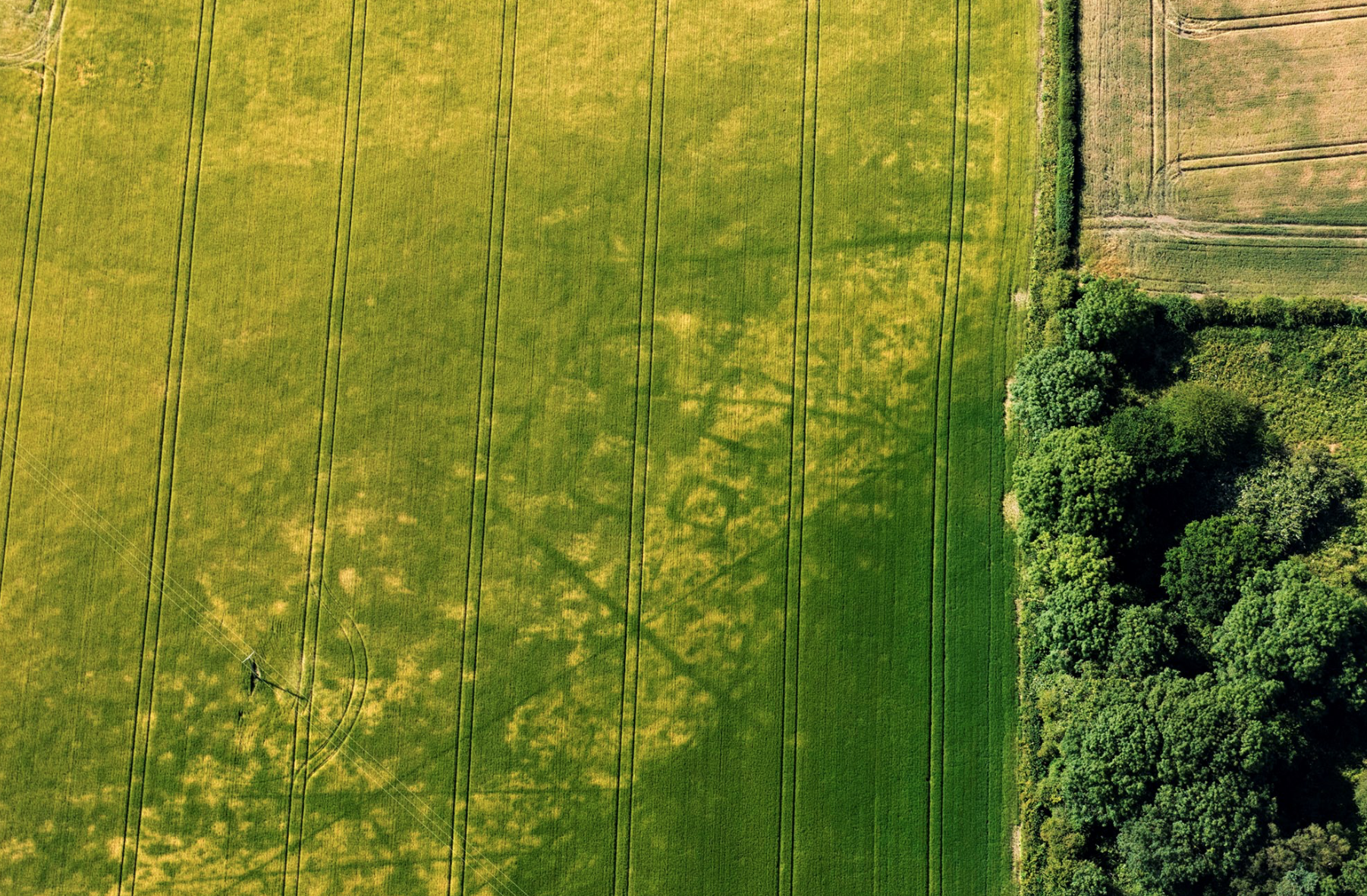 AERIAL ARCHAEOLOGY; YORKSHIRE; CROP MARKS