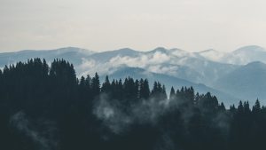 CYTATY, KTÓRE PODNOSZĄ NA DUCHU