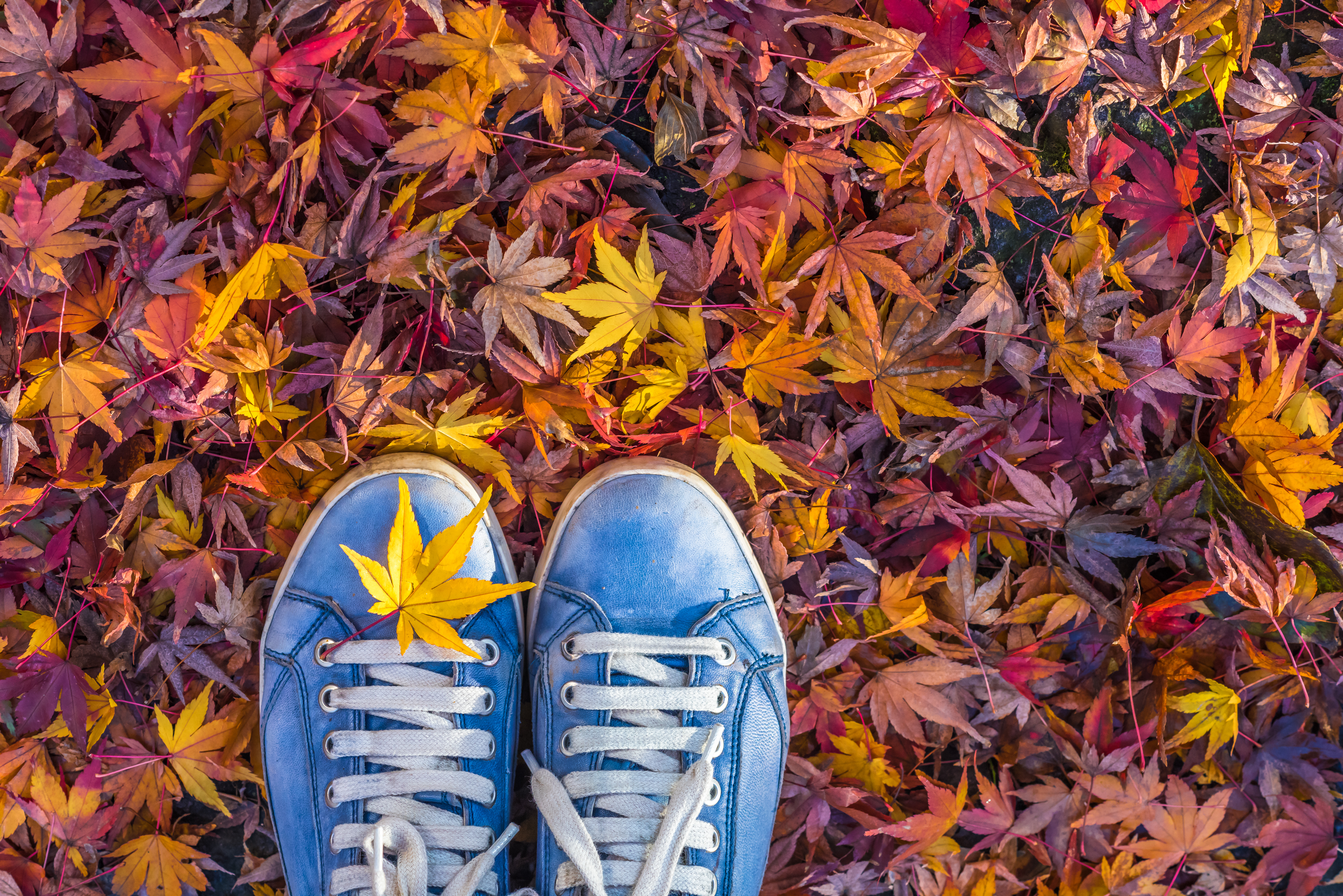 HIPSTER SHOES IN AUTUMN