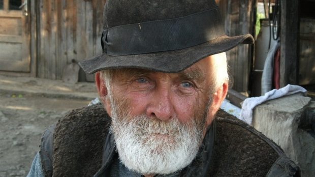 beard-elderly-farmer-47862