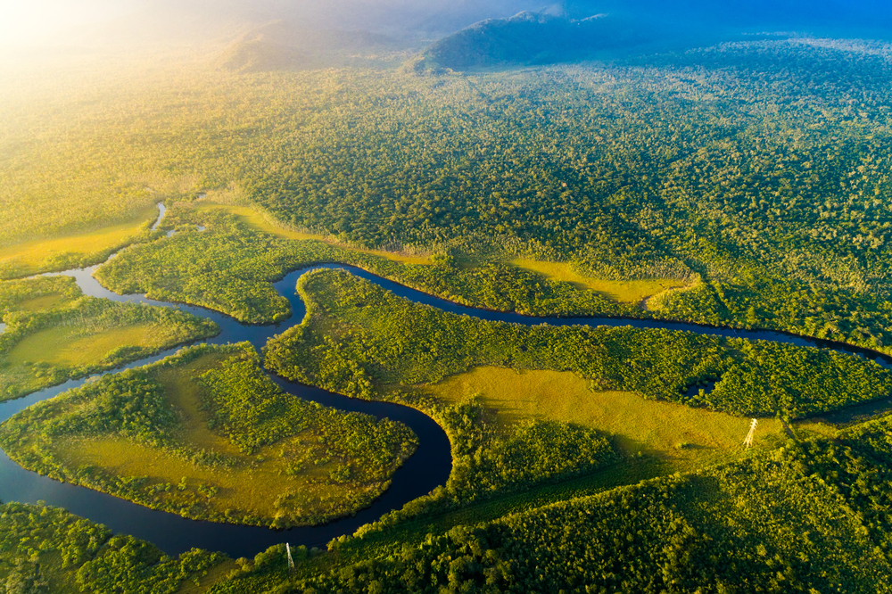 AMAZZONIA FORESTA PLUVIALE