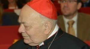 cardinal sgreccia italy