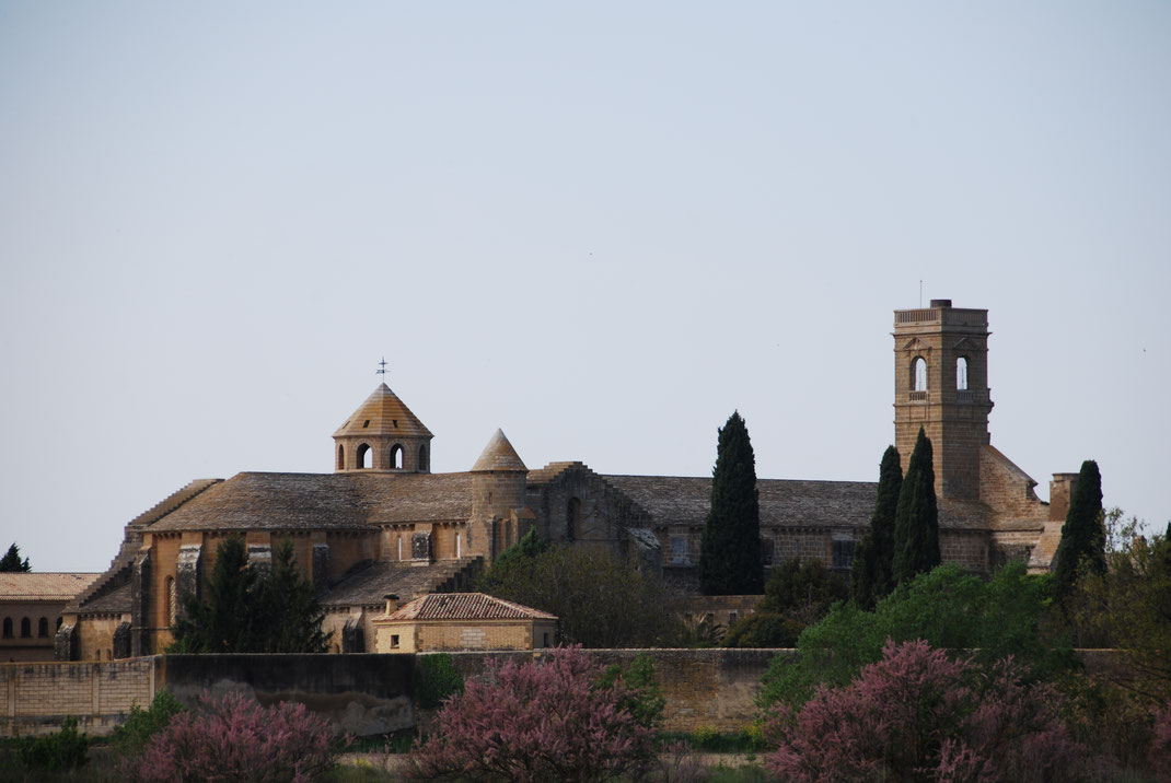 monastery-of-the-virgin-of-the-olive-grove.jpg
