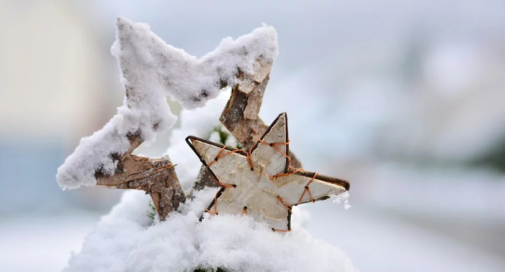 Snow Winter Wintry Star Poinsettia Christmas Cold