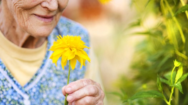 web3-old-woman-holding-flower.jpg
