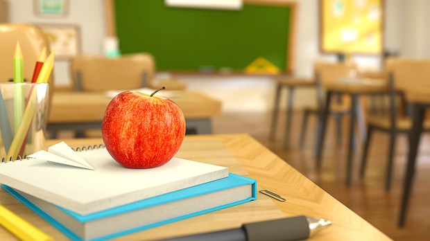 SCHOOL DESK