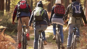 FRIENDS, BIKE, WOOD