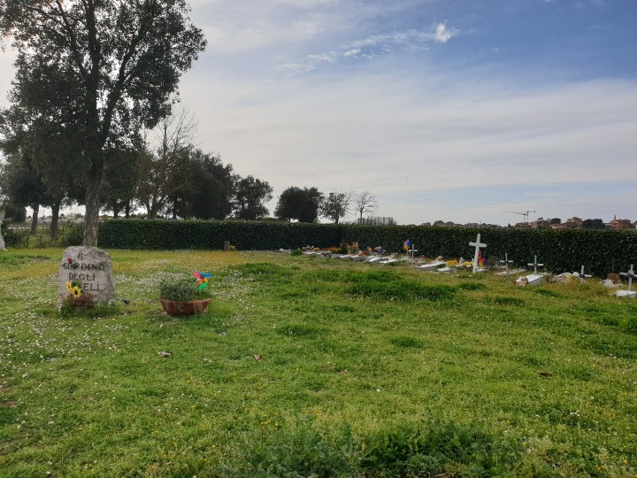 IL GIARDINO DEGLI ANGELI,