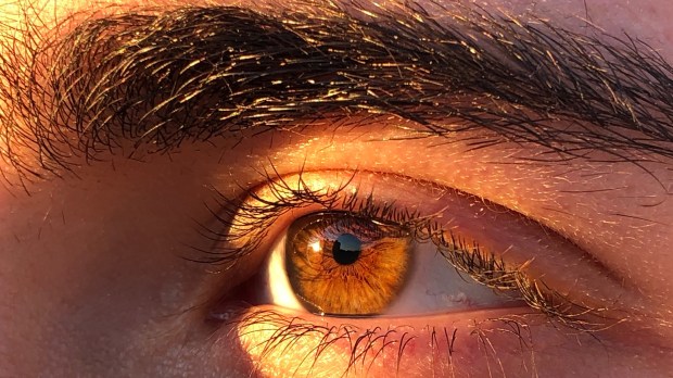 MALE EYES,