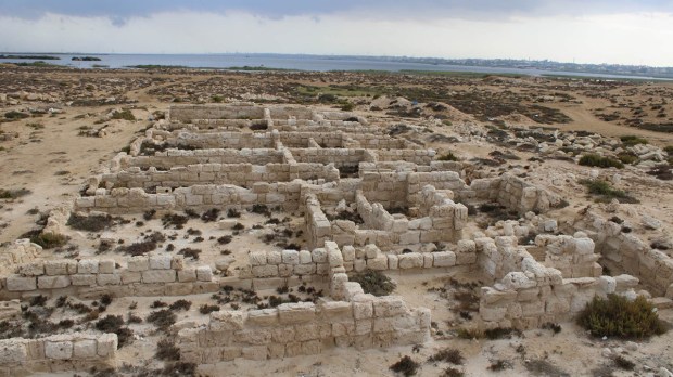 Marea Archaeological Project