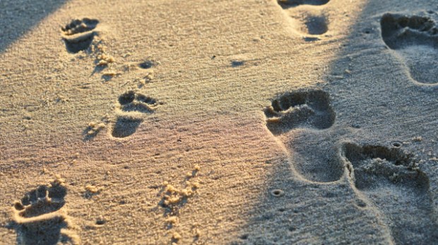 footprints sand