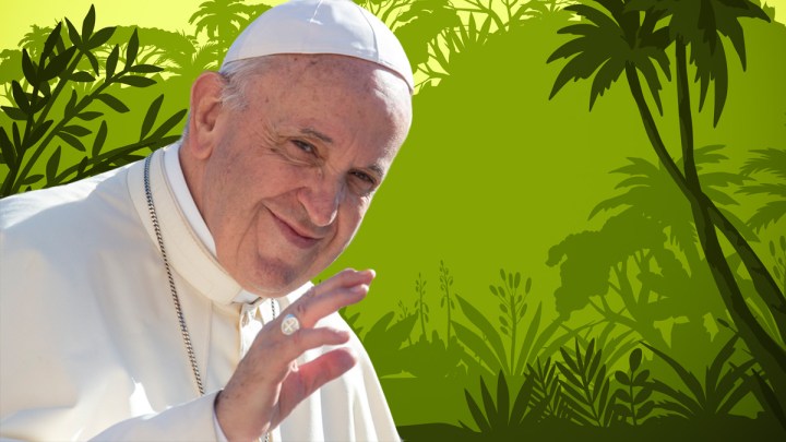 POPE FRANCIS