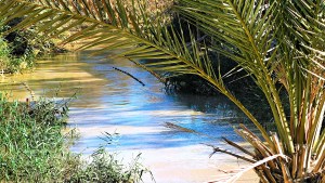 WEB3-04-Jordan-River-at-Baptismal-Site_PhotoCredit-Sr.-Amata-CSFN.jpg