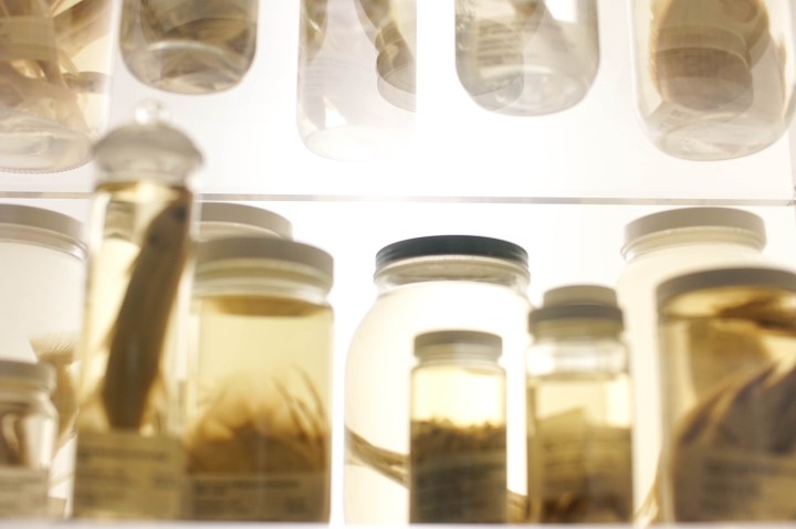 JARS, SCIENCE, LABORATORY