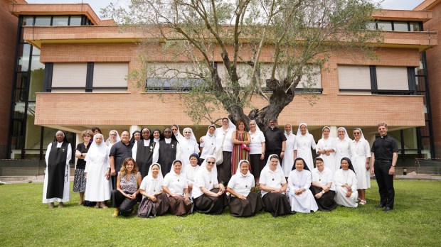 SUORE DOCENTI ALBERO ULIVO ATENEO REGINA APOSTOLORUM