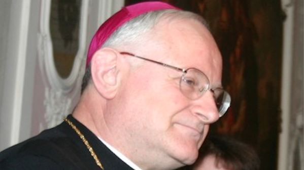 vescovo verona anti gender