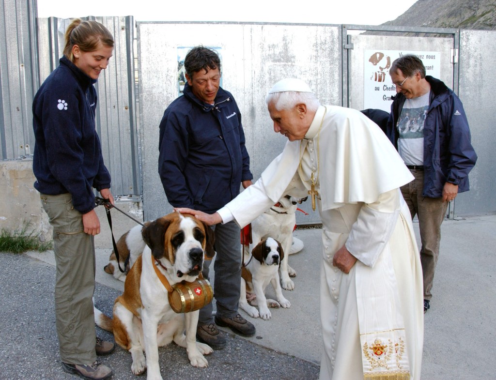 Pope-Benedict-XVI-caresses-San-Bernard-dogs-AFP
